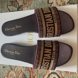 Christian dior Dway slide